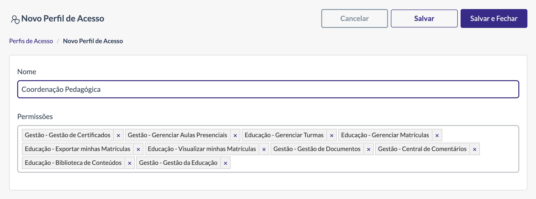 Tela de perfis de acesso para a equipe